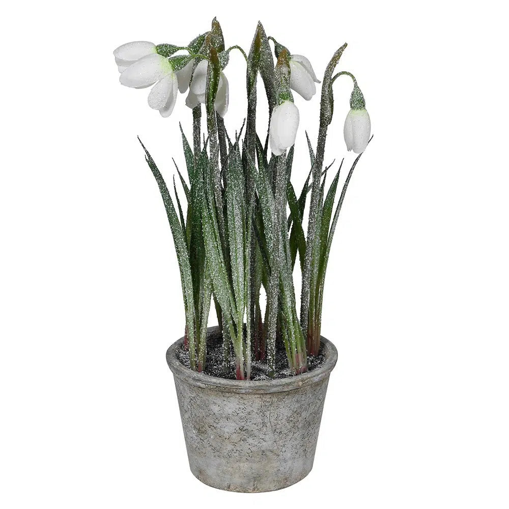 white snowdrop plant in pot winter decor
faux snowdrop plant for shelves and tables
white winter floral decoration in pot
neutral snowdrop plant home decor