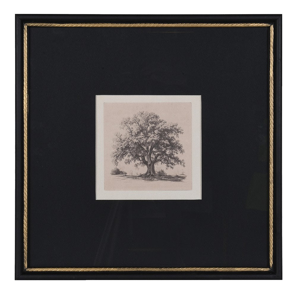 A framed art print featuring a sepia-toned sketch of a tree, set within a black mat and a black frame with a gold rope-style inner border.
earthy tone wall art

framed canvas wall art

large neutral wall art

large statement wall art

modern neutral wall decor

modern organic wall decor

moody wall art

neutral home decor wall art

neutral wall art

Wall art

wall decor

wall painting

wallart

heritage oak framed print

oak framed print

heritage oak tree framed print

oak tree framed print

tree framed pr